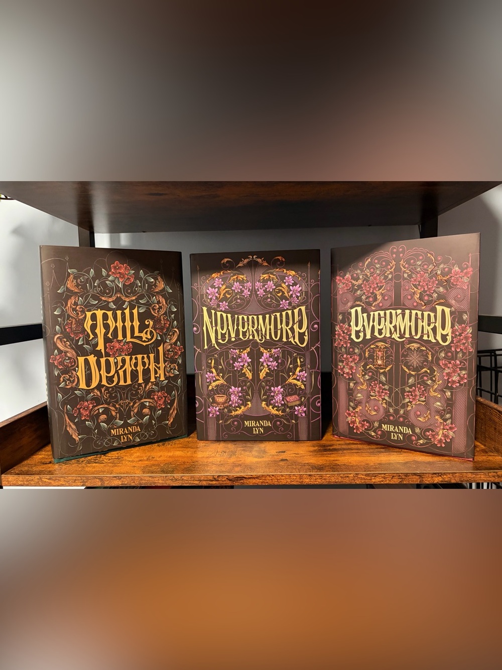 Unplugged Book Box / The Never Sky series